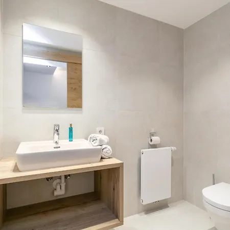 Alpenlodge 3 公寓 佩特诺伊阿尔贝格